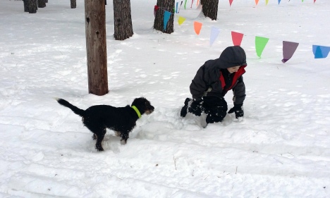 Boy and Dog snow play
