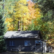 Fall Cabin 6